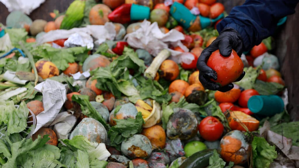 El problema del desperdicio de alimentos
